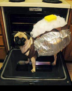 Very Clever Baked Potato Costume